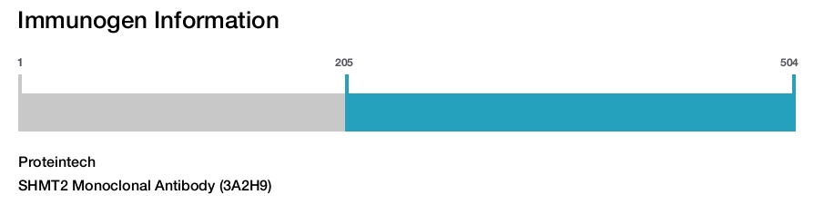 SHMT2 Monoclonal Antibody (3A2H9)