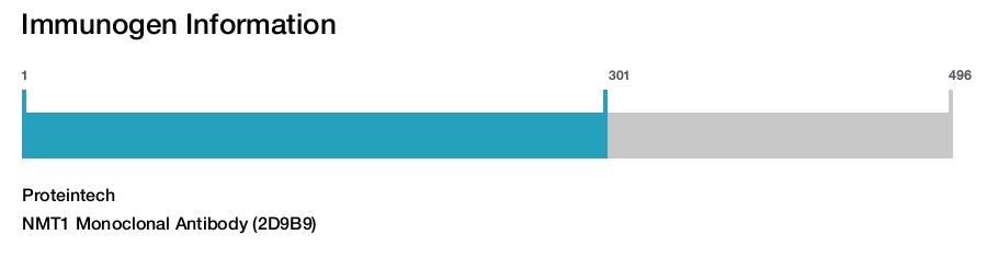 NMT1 Monoclonal Antibody (2D9B9)