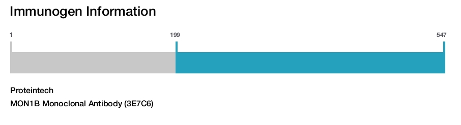 MON1B Monoclonal Antibody (3E7C6)