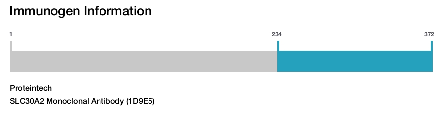 SLC30A2 Monoclonal Antibody (1D9E5)