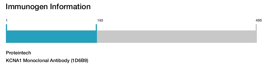KCNA1 Monoclonal Antibody (1D6B9)