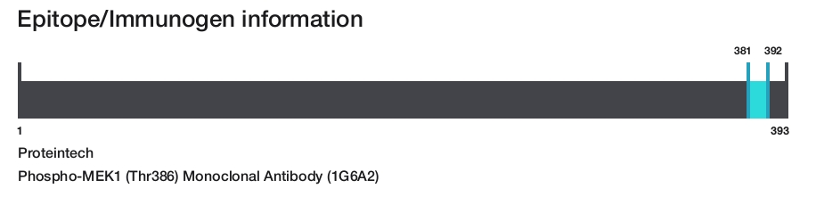 Phospho-MEK1 (Thr386) Monoclonal Antibody (1G6A2)