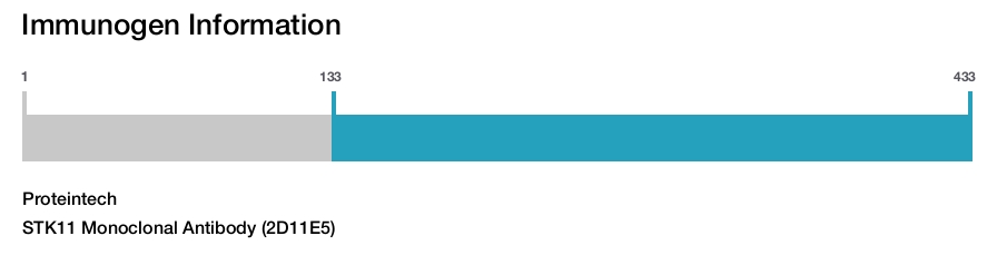 STK11 Monoclonal Antibody (2D11E5)
