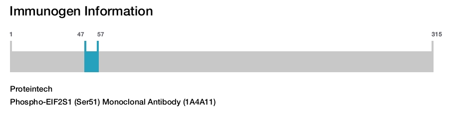 Phospho-EIF2S1 (Ser51) Monoclonal Antibody (1A4A11)