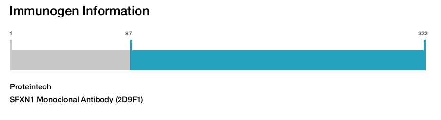 SFXN1 Monoclonal Antibody (2D9F1)