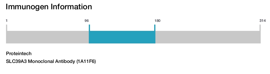 SLC39A3 Monoclonal Antibody (1A11F6)