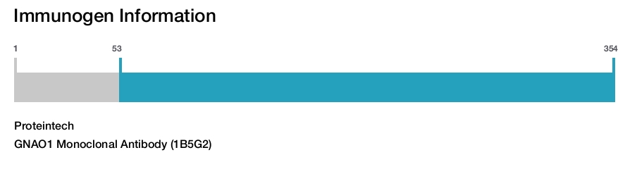 GNAO1 Monoclonal Antibody (1B5G2)