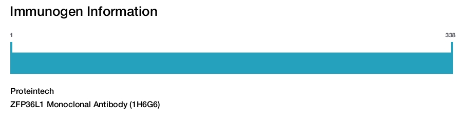 ZFP36L1 Monoclonal Antibody (1H6G6)
