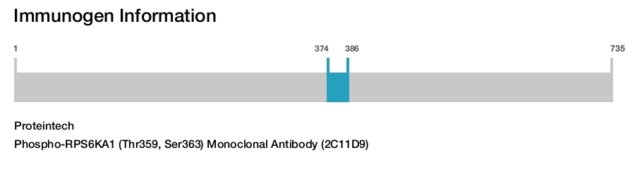 Phospho-RPS6KA1 (Thr359, Ser363) Monoclonal Antibody (2C11D9)