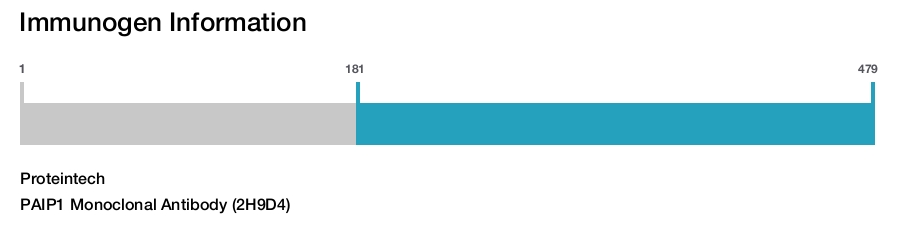 PAIP1 Monoclonal Antibody (2H9D4)