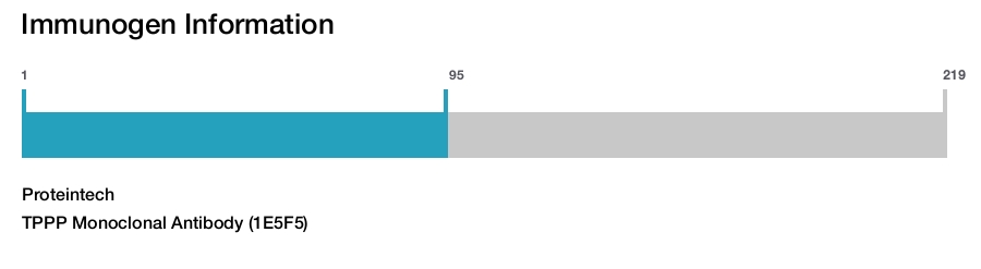 TPPP Monoclonal Antibody (1E5F5)