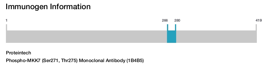 Phospho-MKK7 (Ser271, Thr275) Monoclonal Antibody (1B4B5)