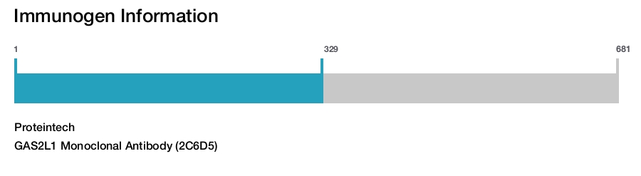 GAS2L1 Monoclonal Antibody (2C6D5)