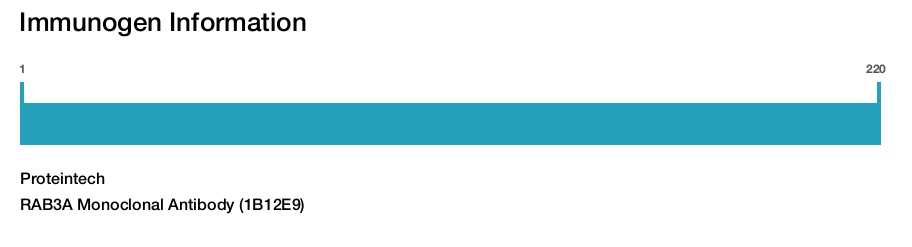 RAB3A Monoclonal Antibody (1B12E9)