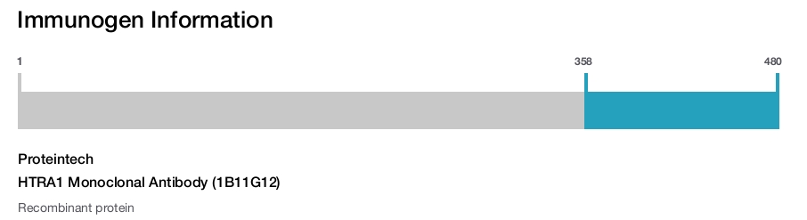 HTRA1 Monoclonal Antibody (1B11G12)