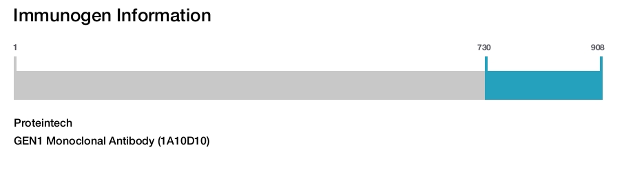 GEN1 Monoclonal Antibody (1A10D10)