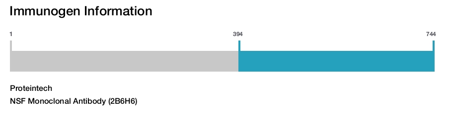 NSF Monoclonal Antibody (2B6H6)