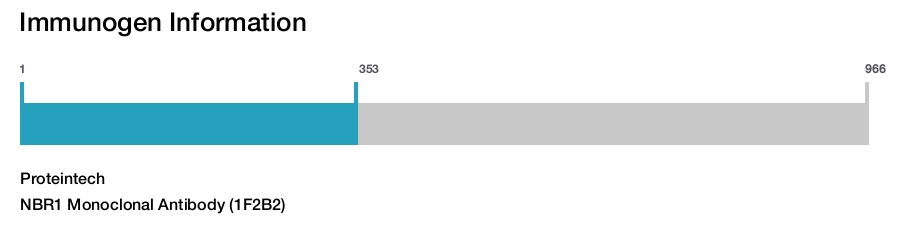 NBR1 Monoclonal Antibody (1F2B2)
