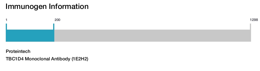 TBC1D4 Monoclonal Antibody (1E2H2)