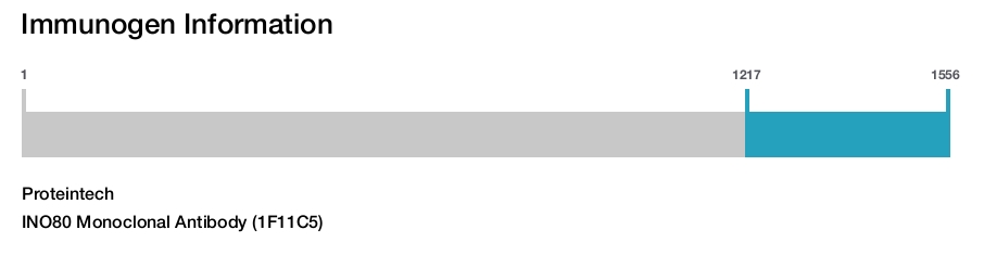 INO80 Monoclonal Antibody (1F11C5)