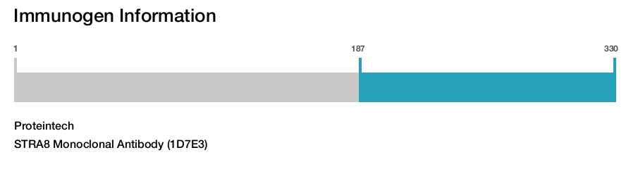 STRA8 Monoclonal Antibody (1D7E3)