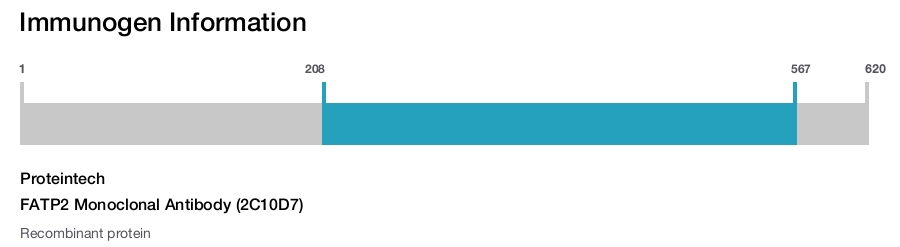 FATP2 Monoclonal Antibody (2C10D7)