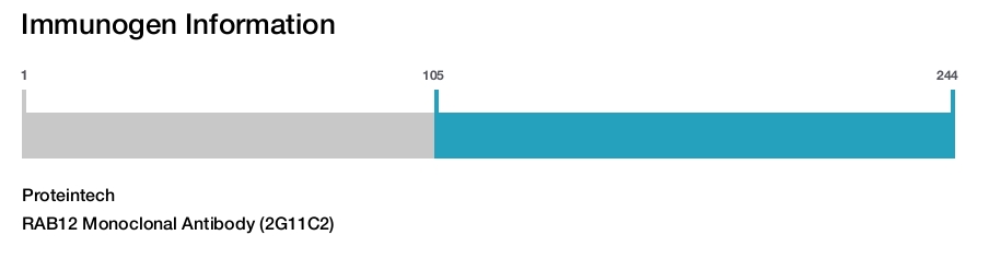 RAB12 Monoclonal Antibody (2G11C2)
