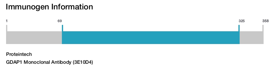 GDAP1 Monoclonal Antibody (3E10D4)