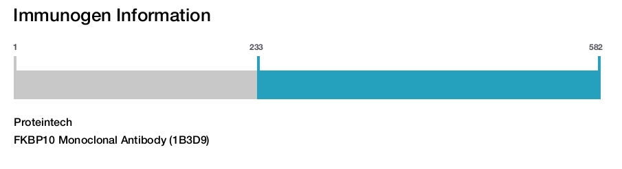 FKBP10 Monoclonal Antibody (1B3D9)