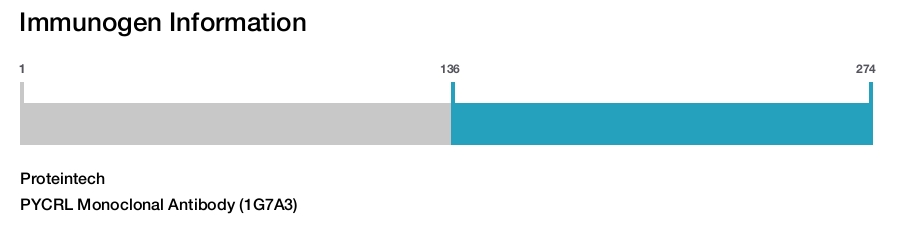PYCRL Monoclonal Antibody (1G7A3)