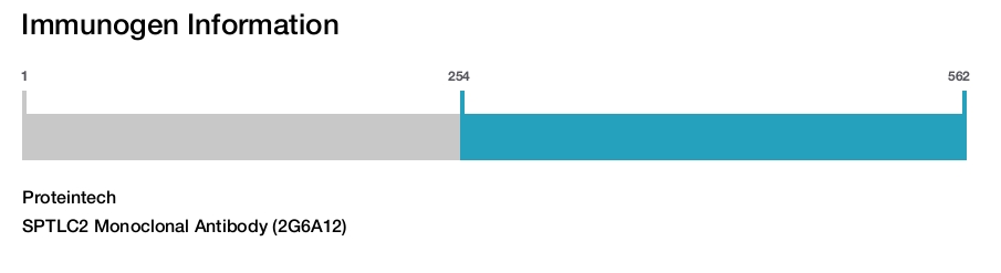 SPTLC2 Monoclonal Antibody (2G6A12)