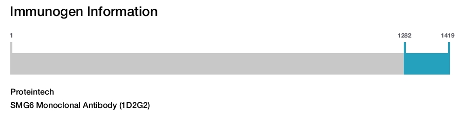 SMG6 Monoclonal Antibody (1D2G2)
