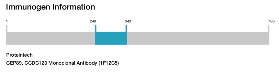 CEP89, CCDC123 Monoclonal Antibody (1F12C5)