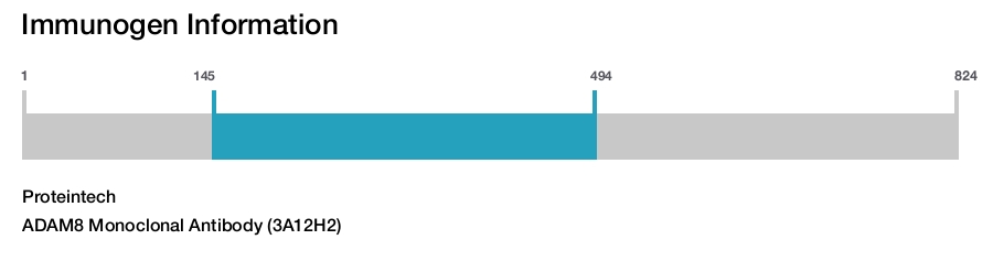 ADAM8 Monoclonal Antibody (3A12H2)