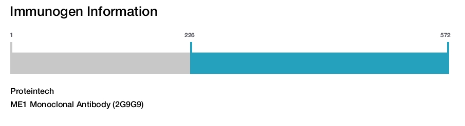 ME1 Monoclonal Antibody (2G9G9)