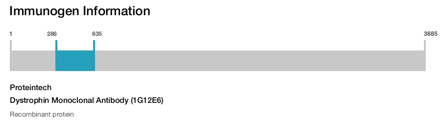 Dystrophin Monoclonal Antibody (1G12E6)