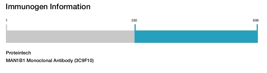 MAN1B1 Monoclonal Antibody (3C9F10)