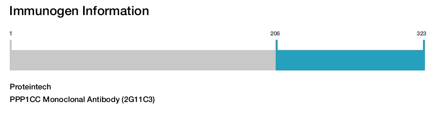 PPP1CC Monoclonal Antibody (2G11C3)