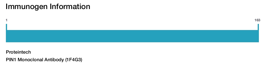 PIN1 Monoclonal Antibody (1F4G3)