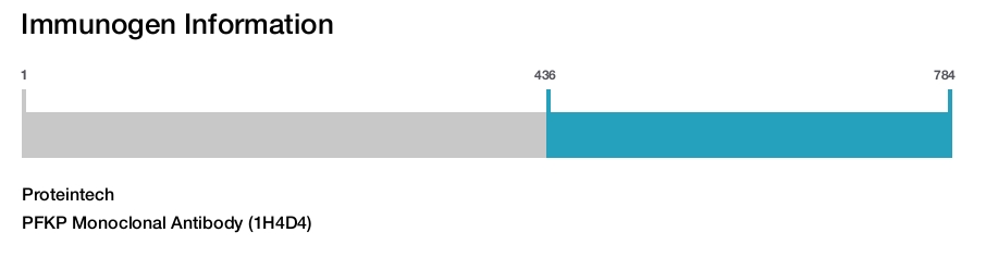 PFKP Monoclonal Antibody (1H4D4)