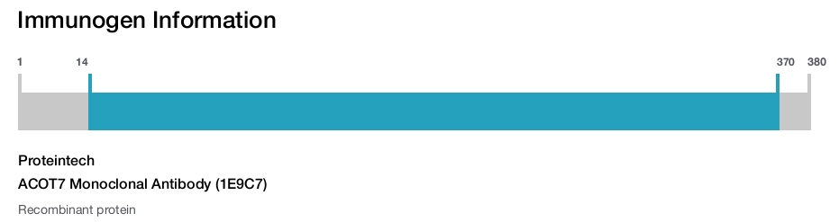ACOT7 Monoclonal Antibody (1E9C7)