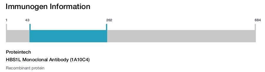 HBS1L Monoclonal Antibody (1A10C4)