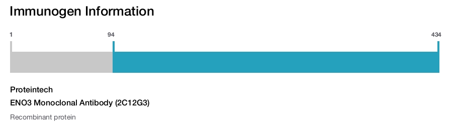 ENO3 Monoclonal Antibody (2C12G3)