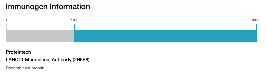 LANCL1 Monoclonal Antibody (2H6E8)