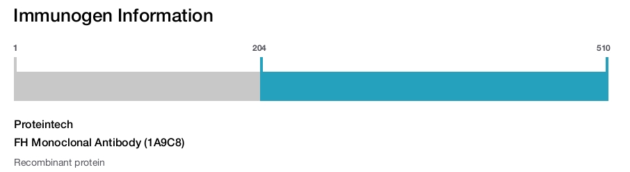FH Monoclonal Antibody (1A9C8)