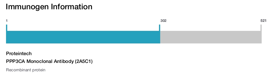 PPP3CA Monoclonal Antibody (2A5C1)
