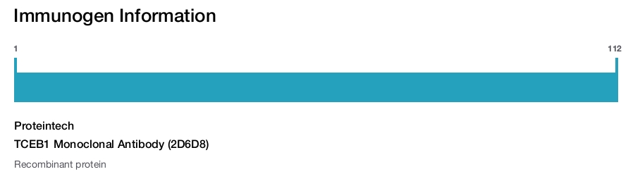 TCEB1 Monoclonal Antibody (2D6D8)