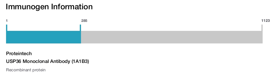 USP36 Monoclonal Antibody (1A1B3)