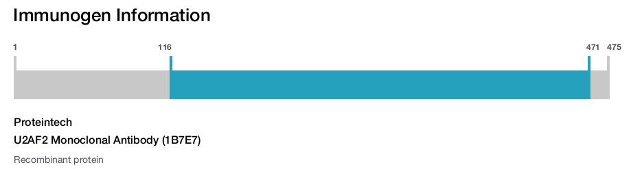 U2AF2 Monoclonal Antibody (1B7E7)