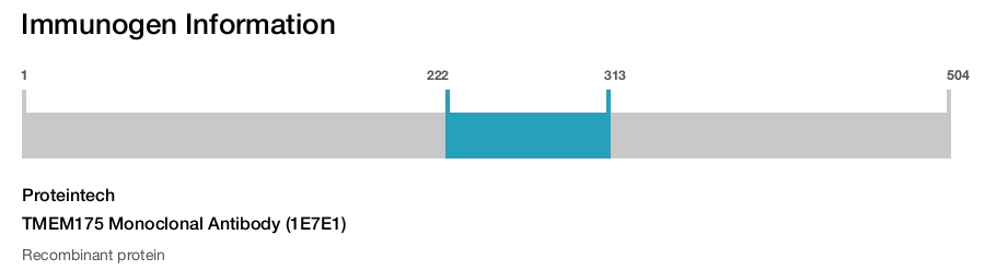 TMEM175 Monoclonal Antibody (1E7E1)